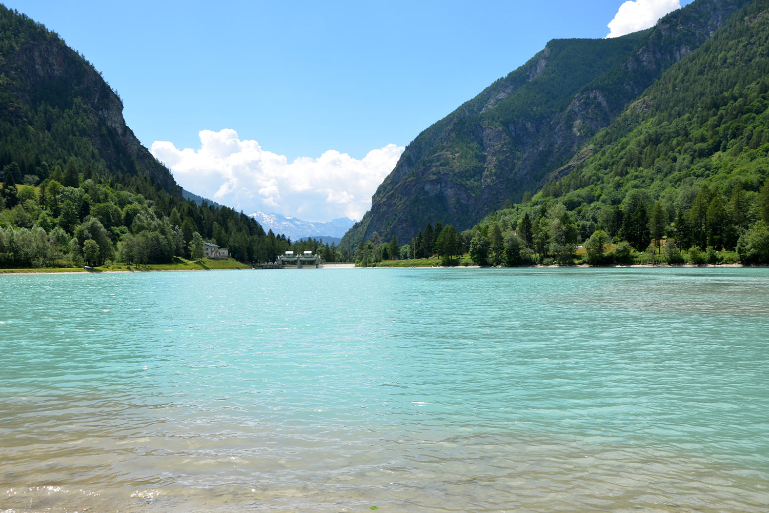 Ordinanza n. 1/2025 – Rinvio apertura riserve Lago Maen, torrente Buthier e Ayasse