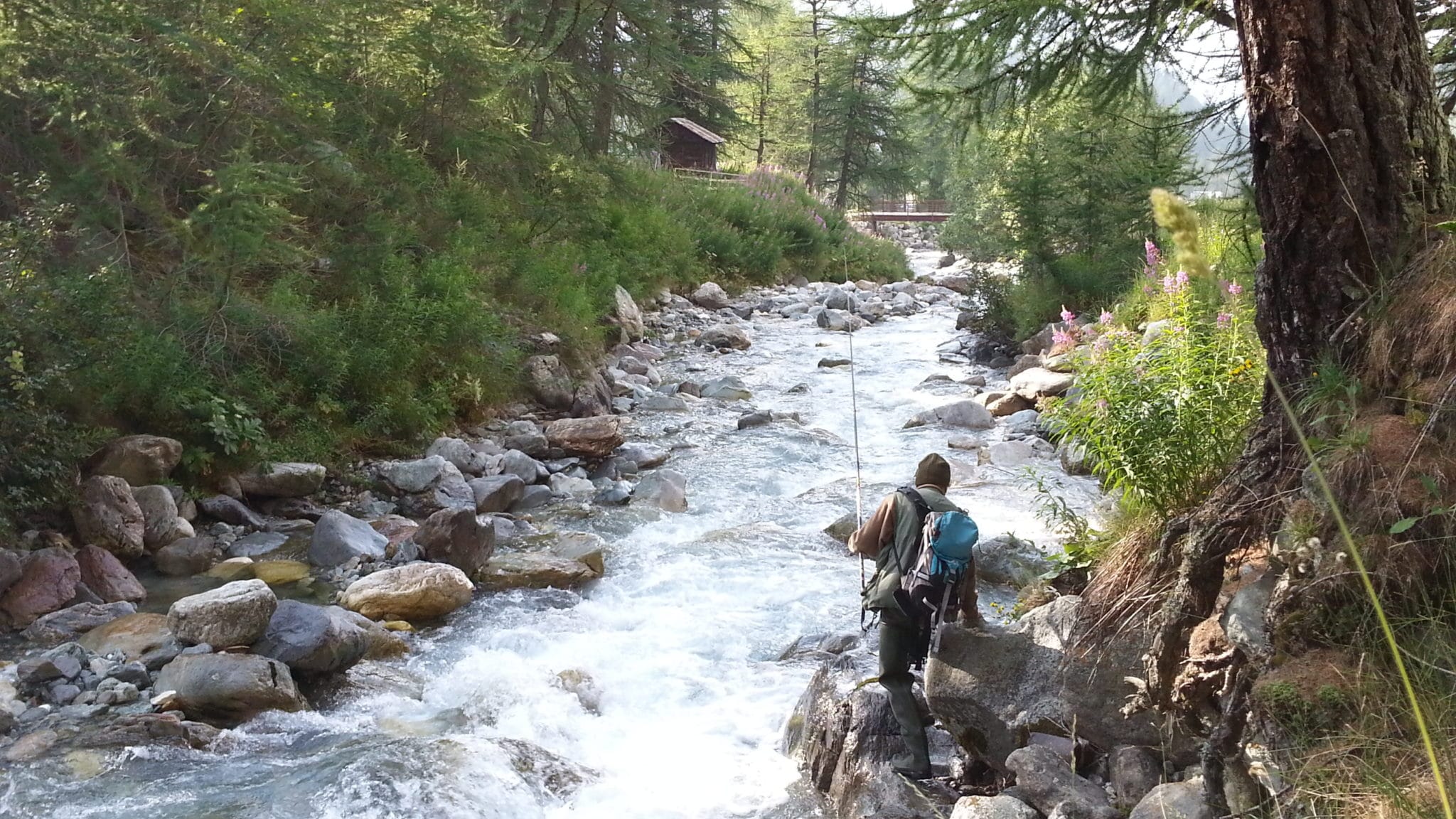 CORSO PESCATORI ESPERTI PROGETTO LIFE GRAYMARBLE LIFE20 NAT/IT/001341