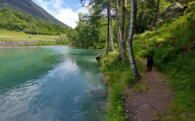 Ordinanza n. 3/2025 – Apertura riserva speciale torrente Buthier dal 12/04/2025