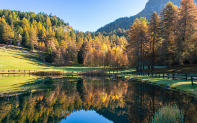 Apertura riserva torrente Lys e lago La Palud