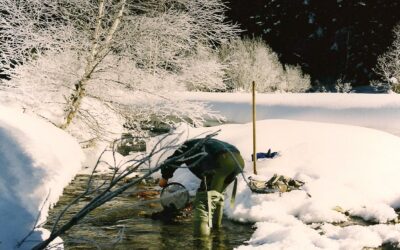 Ripopolamenti  acque libere – anno 2025