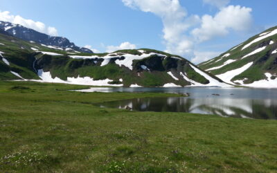 Comunicato stampa – apertura della pesca nei laghi alpini